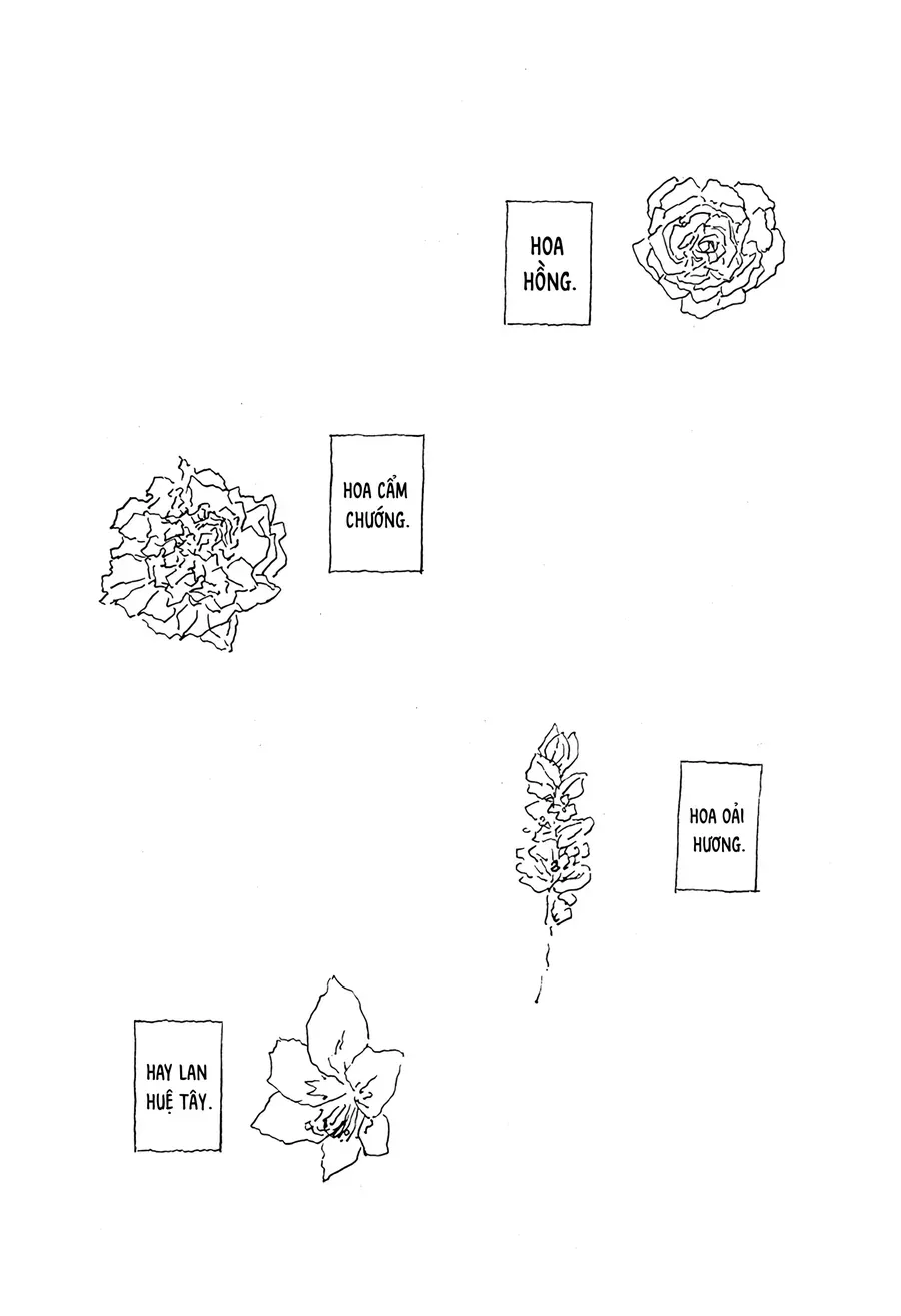 .A: Dot Alice Chương 15 Ảnh 14