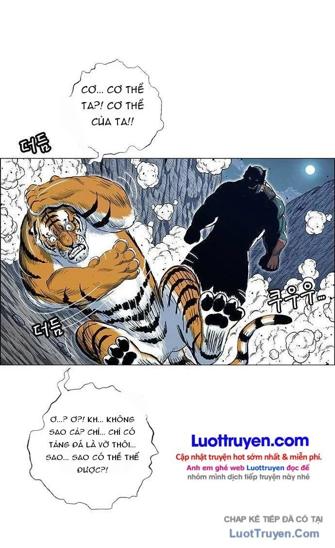Anh Trai Tôi Là Hổ Chương 200 Ảnh 36