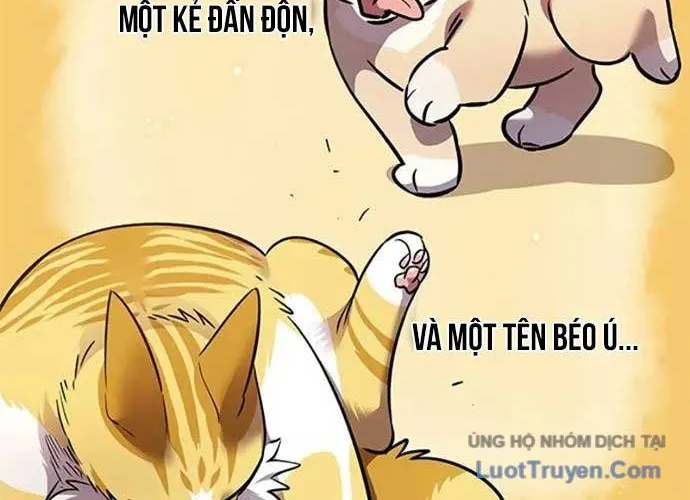 Biến Thân Thành Mèo Chương 404 Ảnh 55