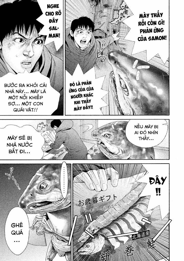 Cá Hồi Chương 11 Ảnh 6
