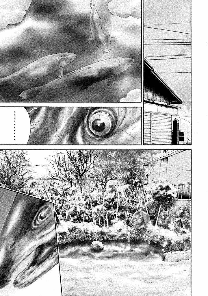 Cá Hồi Chương 8 Ảnh 23