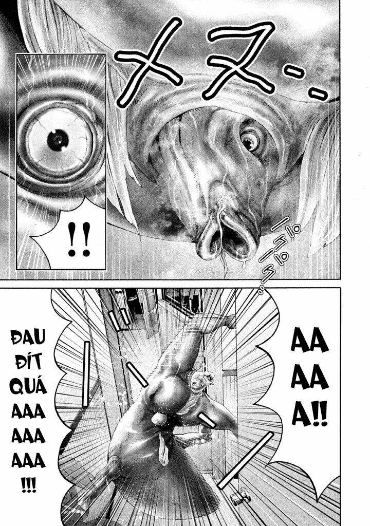 Cá Hồi Chương 8 Ảnh 27