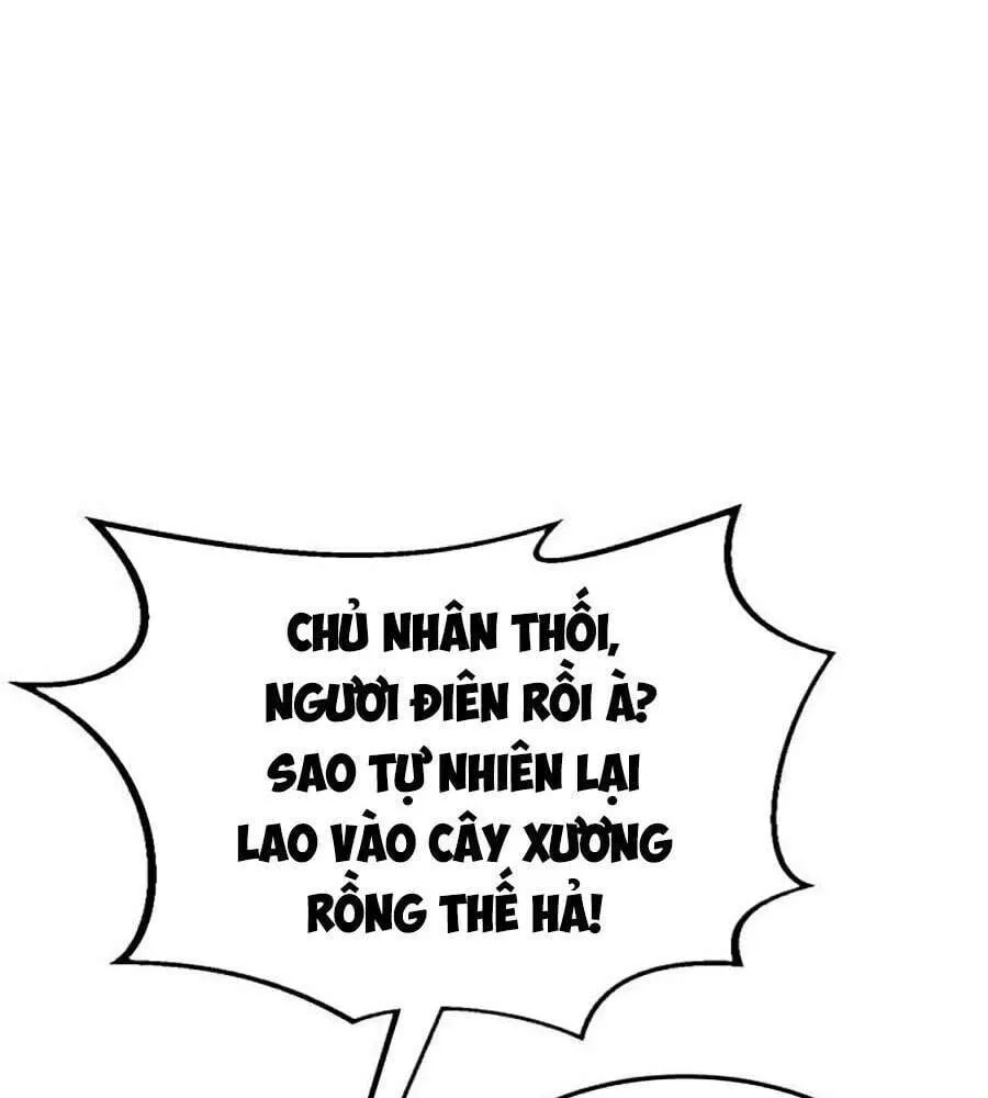 Cao thủ trở lại Chương 25 Ảnh 18