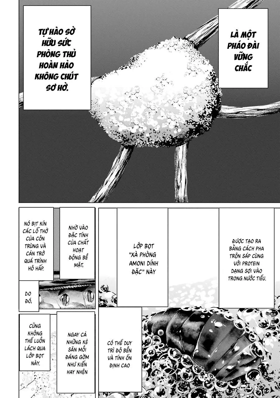 Choubu No Shinobi Chương 2 Ảnh 23
