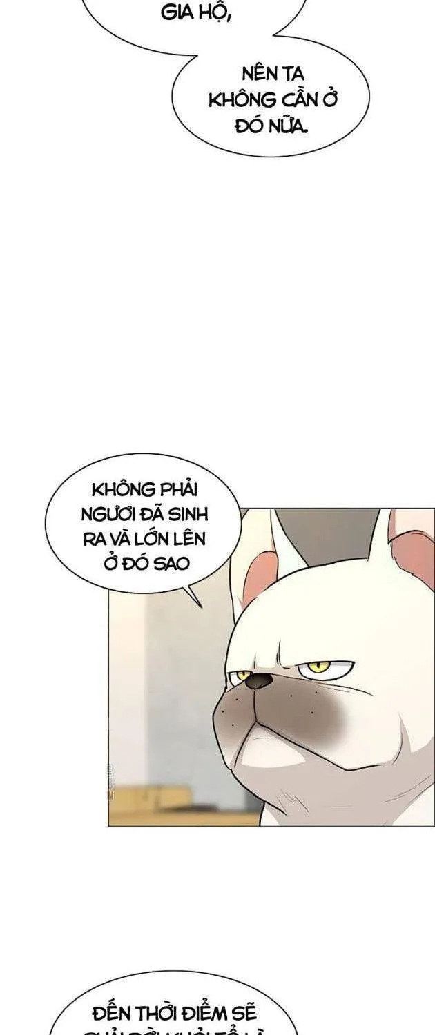 Chước Đao Chương 55 Ảnh 12