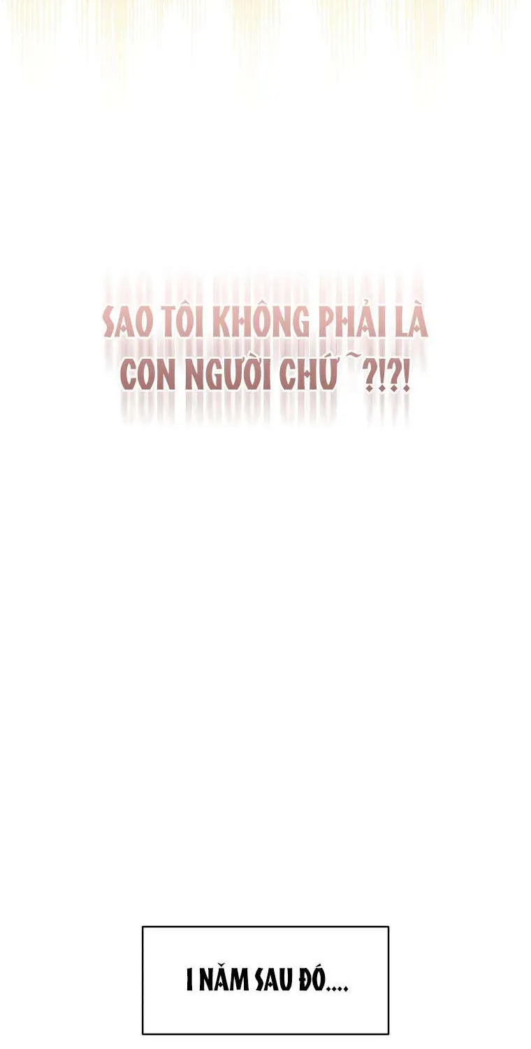 Con Dâu Của Kẻ Phản Diện Là Một Người Có Quyền Lực Chương 0 Ảnh 20