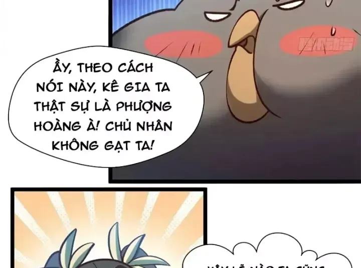 Đỉnh Cấp Khí Vận, Lặng Lẽ Tu Luyện Ngàn Năm Chương 308 Ảnh 158