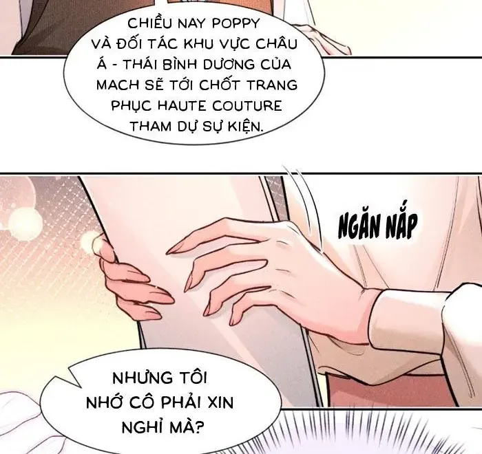 Định Mệnh Sau Cú Đấm Nhầm Chương 41 Ảnh 12