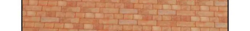 Gậy gỗ 99+ Chương 1.5 Ảnh 142