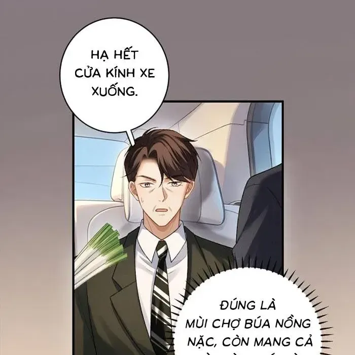 Giả Vờ Làm Giới Thượng Lưu Chương 79 Ảnh 48