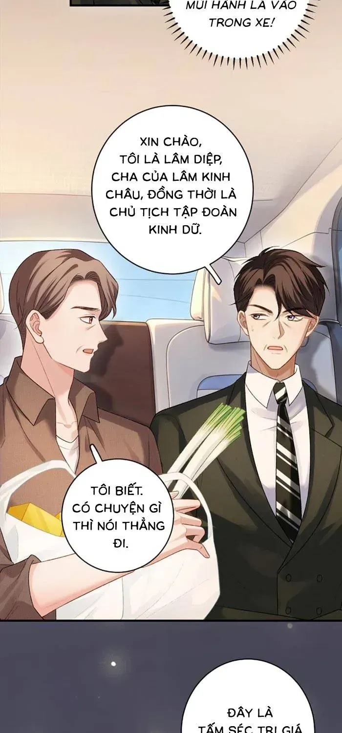 Giả Vờ Làm Giới Thượng Lưu Chương 79 Ảnh 49