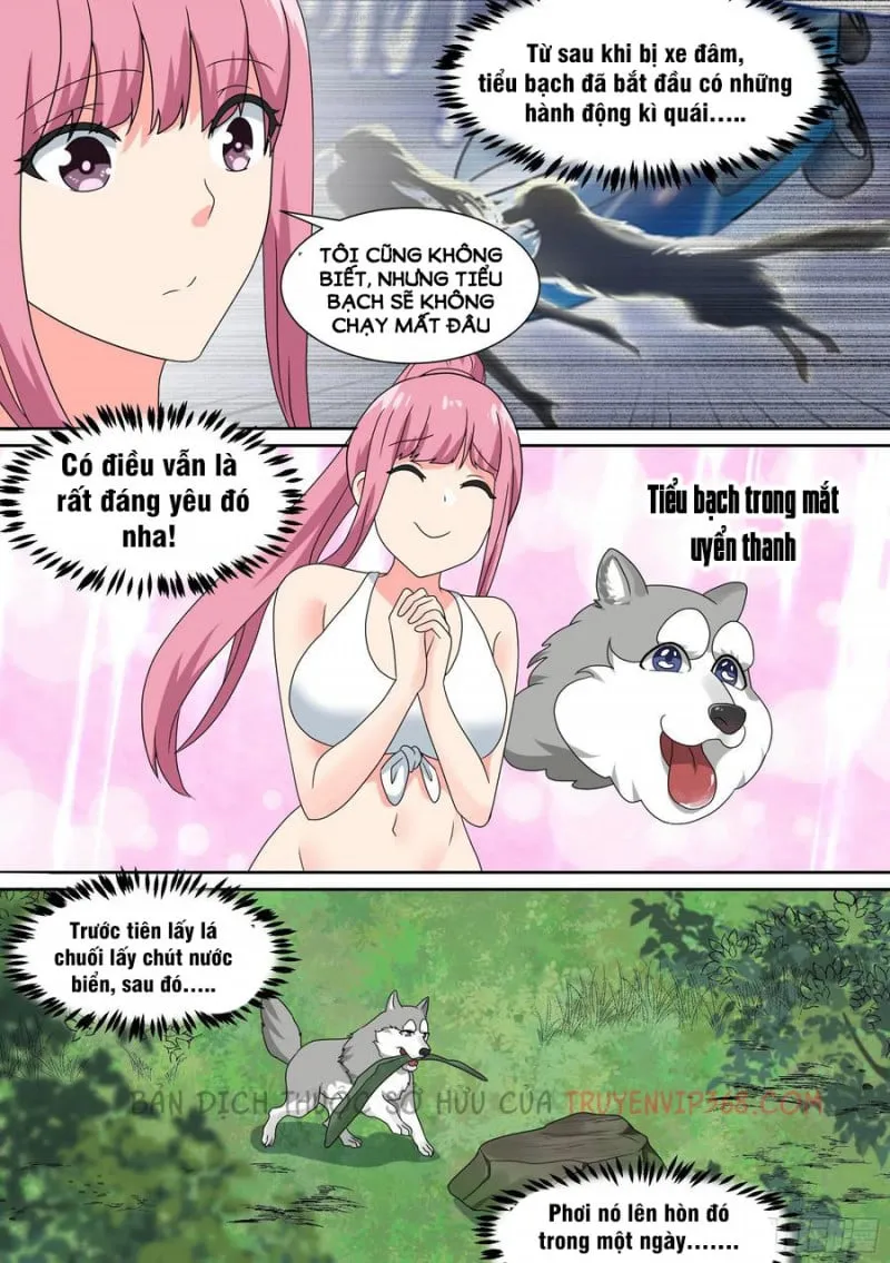 Husky Toàn Năng Của Nữ Thần Chương 19 Ảnh 16
