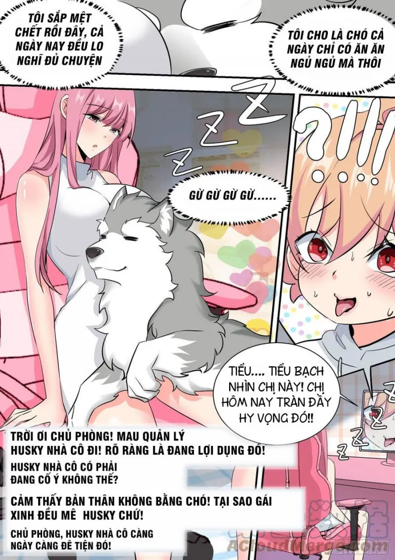 Husky Toàn Năng Của Nữ Thần Chương 35 Ảnh 8
