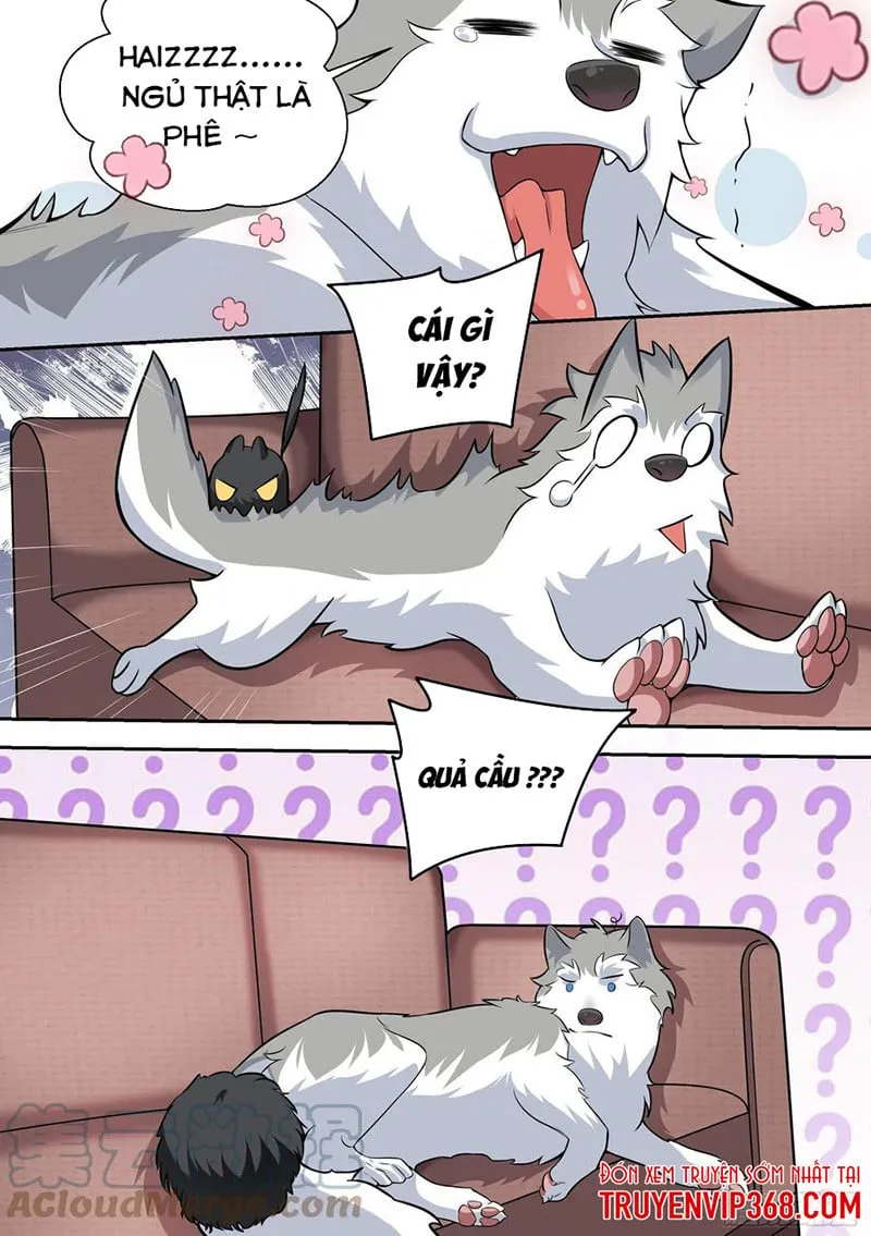 Husky Toàn Năng Của Nữ Thần Chương 49 Ảnh 6