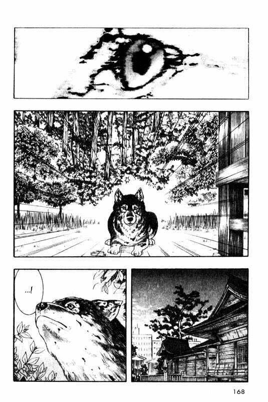 Inugami Chương 9 Ảnh 11