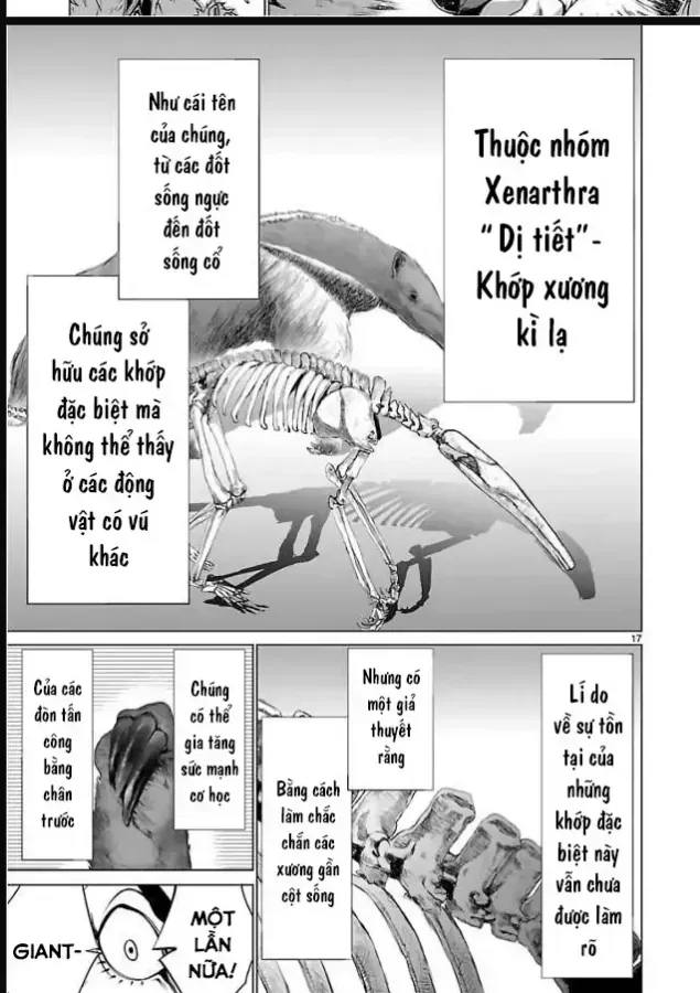 Killing Bites Chương 50 Ảnh 18