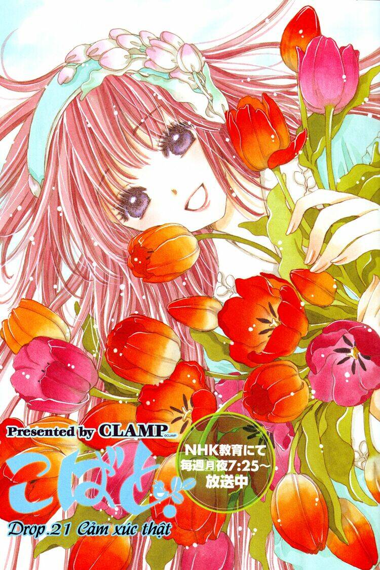 Kobato Chương 45 Ảnh 2