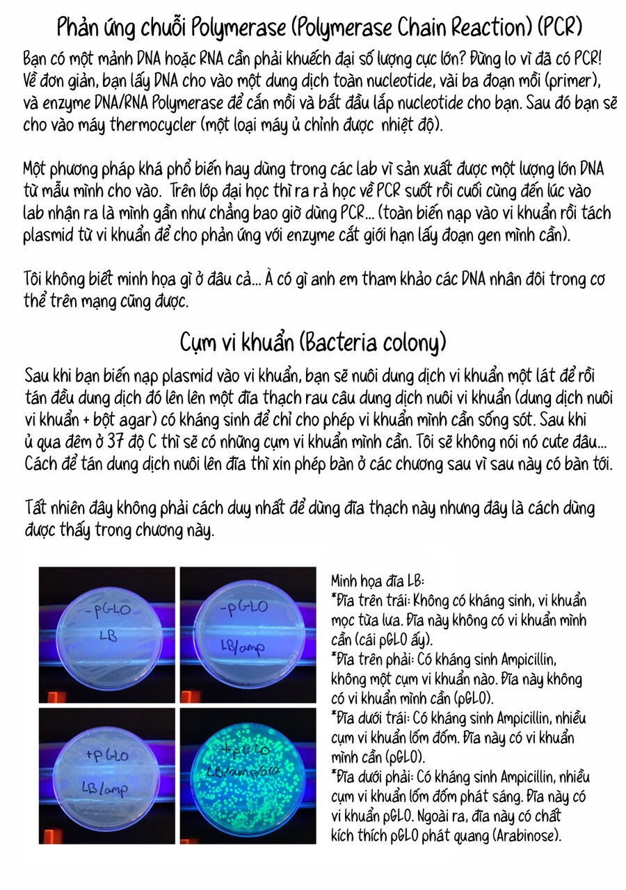 Lalalab☆ ~Gal To Kagaku To Seishun To!~ Chương 4 Ảnh 12