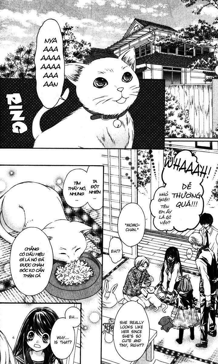 Momo Chương 19 Ảnh 20