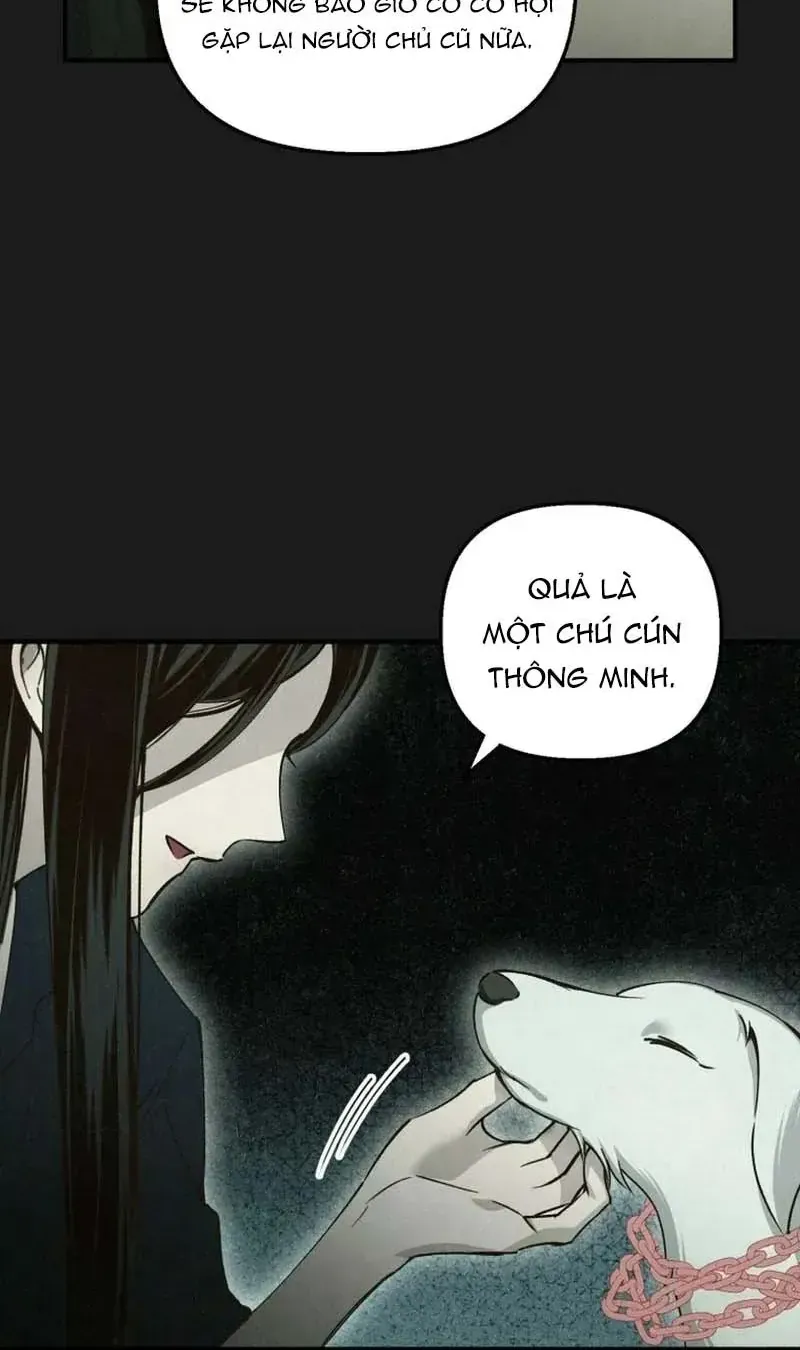 Mùa Hè Bị Nuốt Chửng Bởi Bóng Tối Chương 24 Ảnh 20