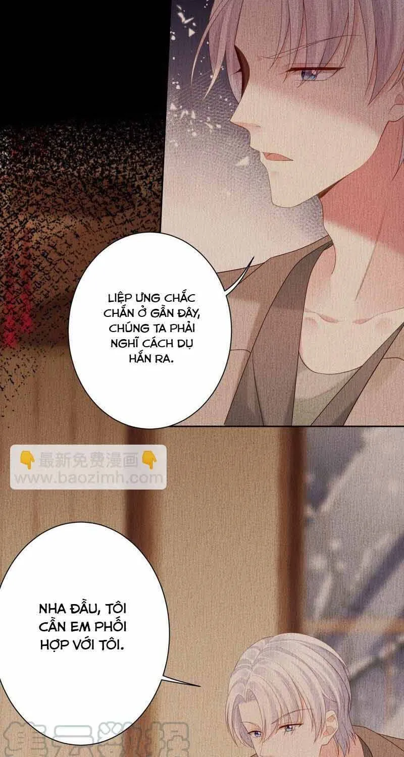 Ngàn Năm Bảo Hộ Đại Nhân Chương 79 Ảnh 19