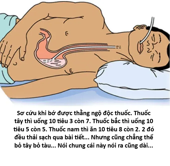 Ngay Cả Khi Hậu Tận Thế, Thật Hạnh Phúc Khi Vẫn Còn Được Sống... (Puchimasu Miếu) Chương 55.2 Ảnh 22