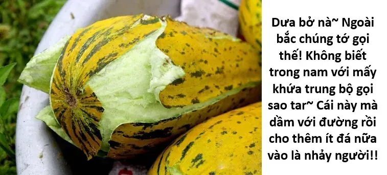 Ngay Cả Khi Hậu Tận Thế, Thật Hạnh Phúc Khi Vẫn Còn Được Sống... (Puchimasu Miếu) Chương 55.2 Ảnh 25