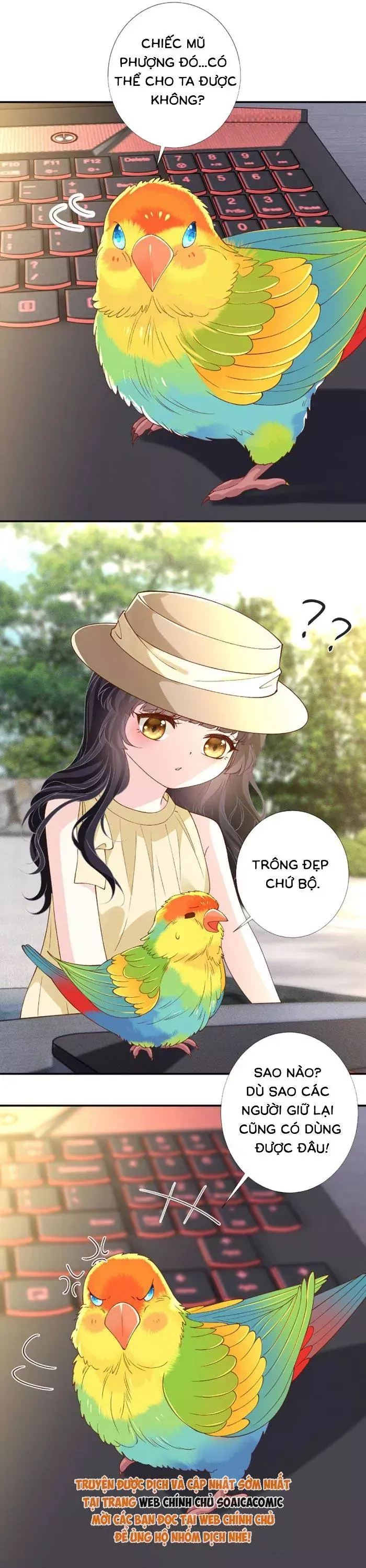 Ôm Khẩn Tiểu Mã Giáp Của Tôi Chương 422 Ảnh 16