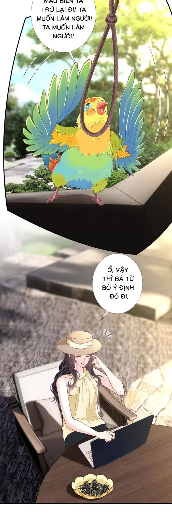 Ôm Khẩn Tiểu Mã Giáp Của Tôi Chương 422 Ảnh 5
