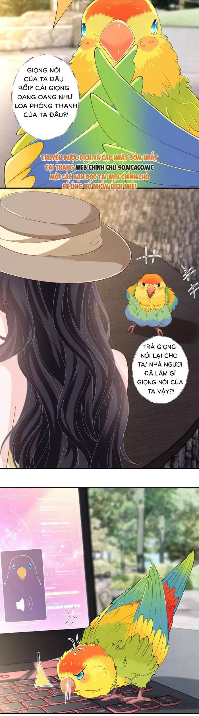 Ôm Khẩn Tiểu Mã Giáp Của Tôi Chương 422 Ảnh 7