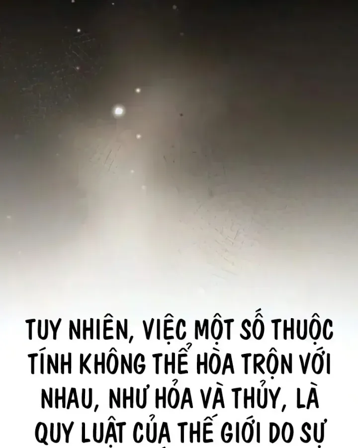 Pháp Sư Thiên Tài Phá Vỡ Giới Hạn Chương 64 Ảnh 88