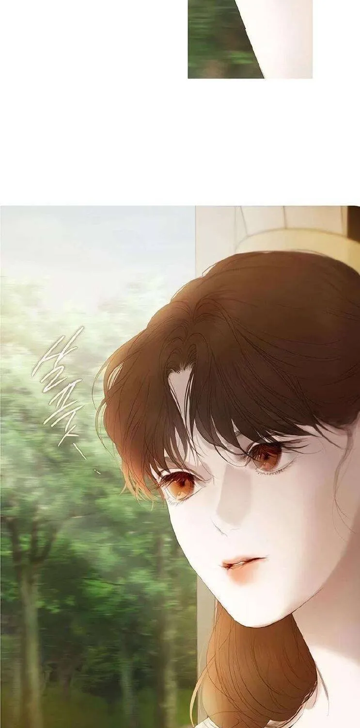 Rừng Chanh Chương 17 Ảnh 47
