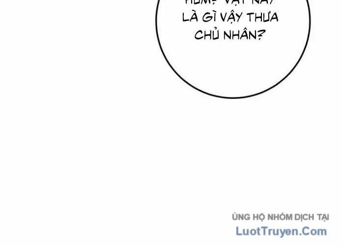 Sát Long Nhân Hồi Quy Siêu Việt Chương 87 Ảnh 55