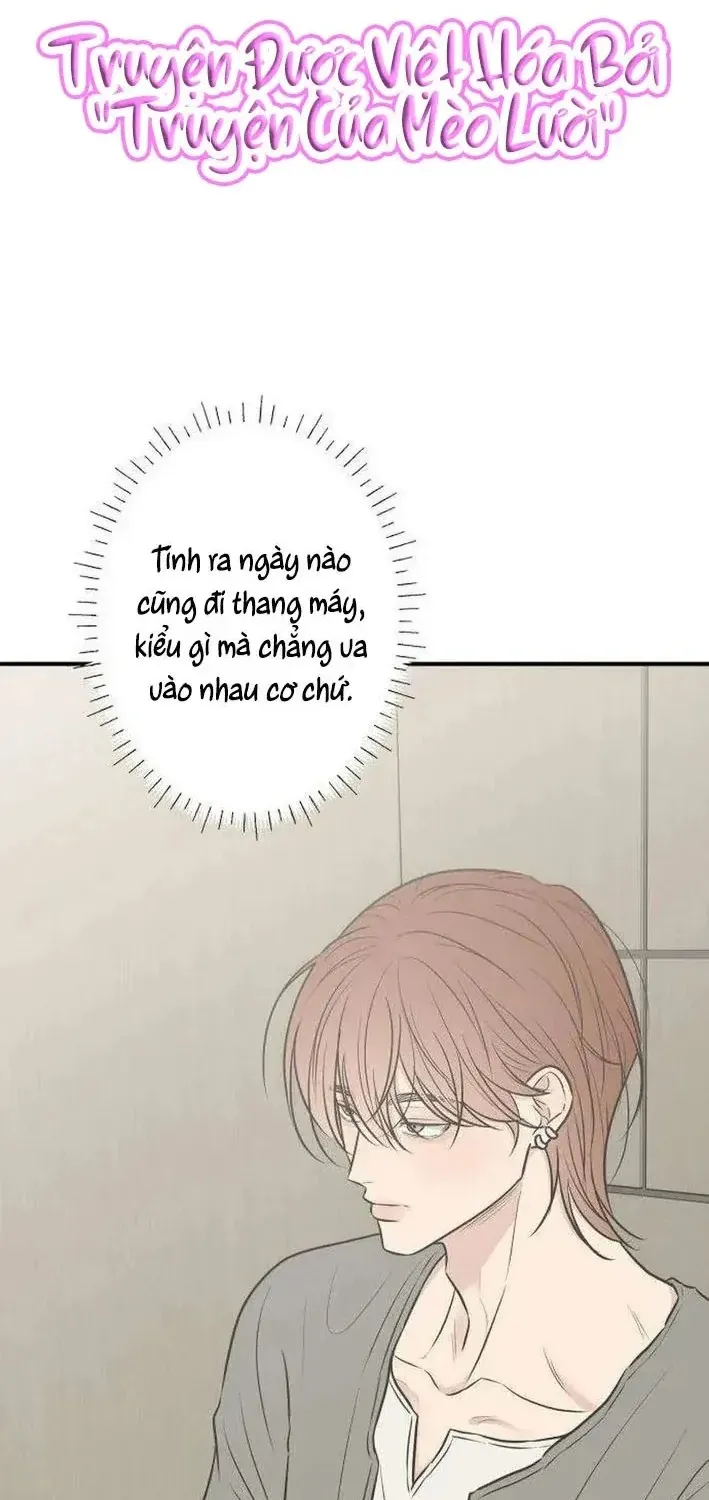 Scandal Giữ Lấy Hôn Nhân Chương 13 Ảnh 3