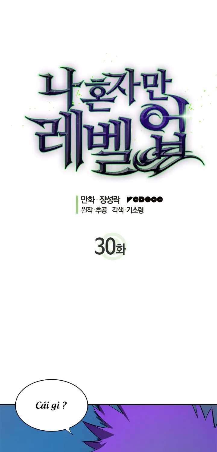 Solo Leveling - Tôi Thăng Cấp Một Mình Chương 30 Ảnh 11