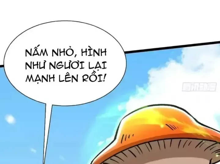 Ta Thật Không Muốn Học Cấm Chú Chương 176 Ảnh 143