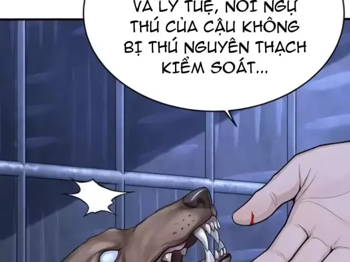 Thái Cổ Thập Hung: Người Khác Ngự Thú Ta Ngự Thú Nương Chương 146 Ảnh 98