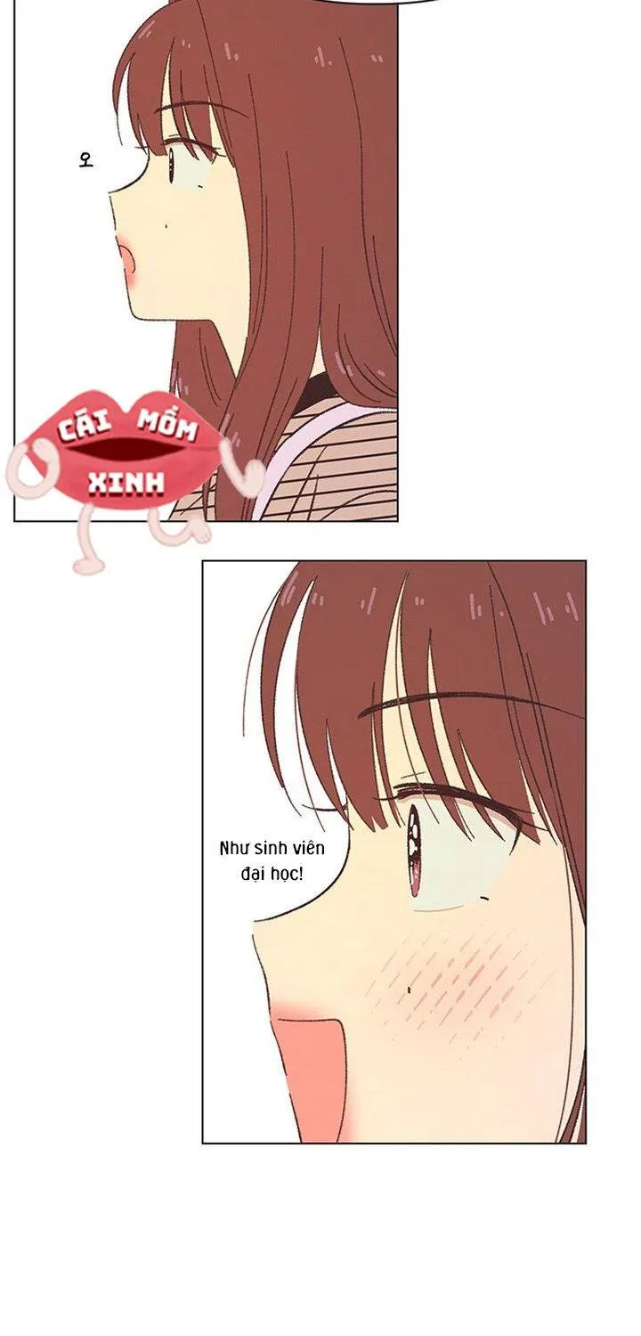Thanh Xuân Ngọt Ngào Chương 73 Ảnh 55