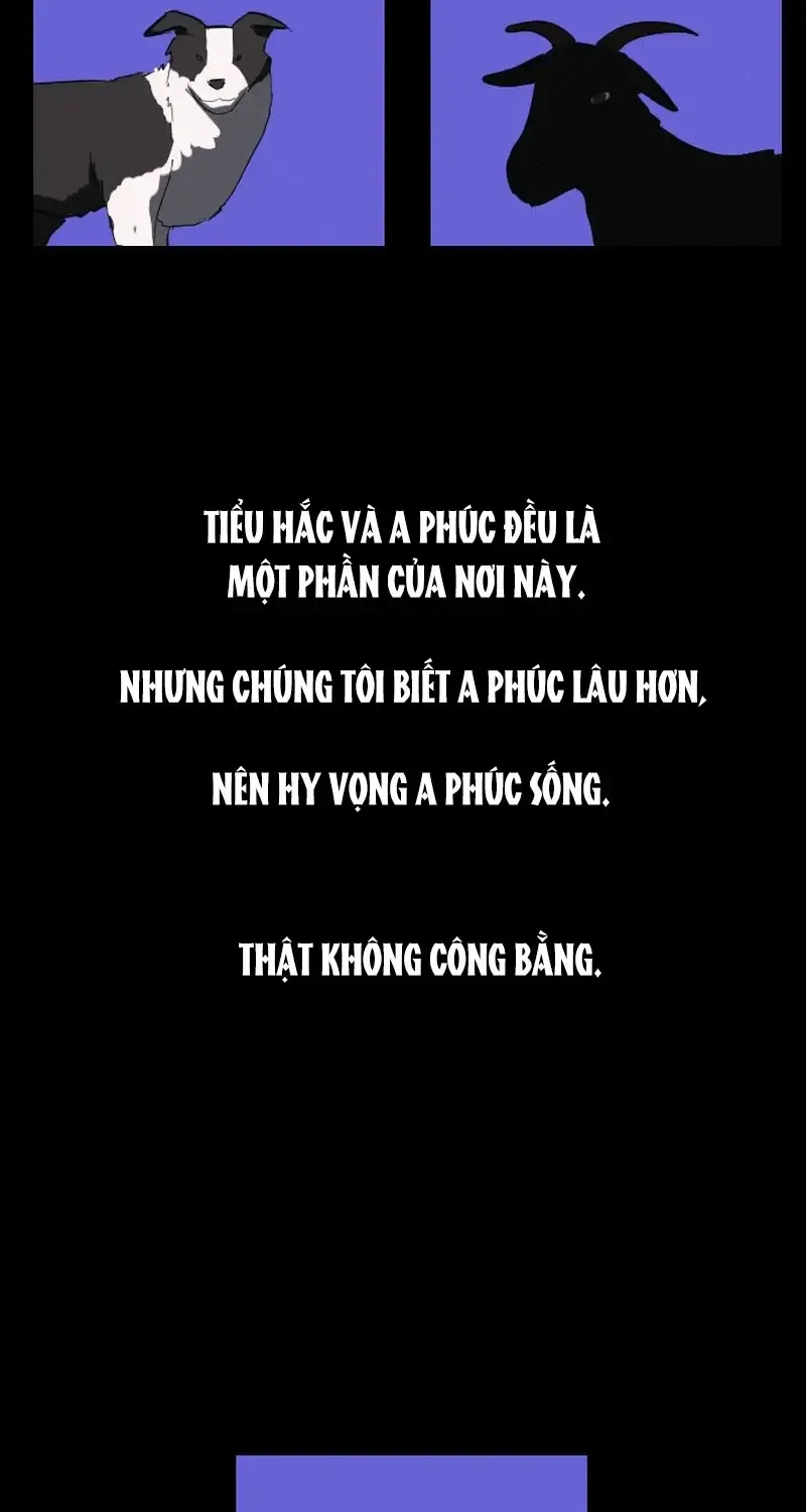 Thế Giới Này Không Tồn Tại Ma Qủy Chương 35 Ảnh 22