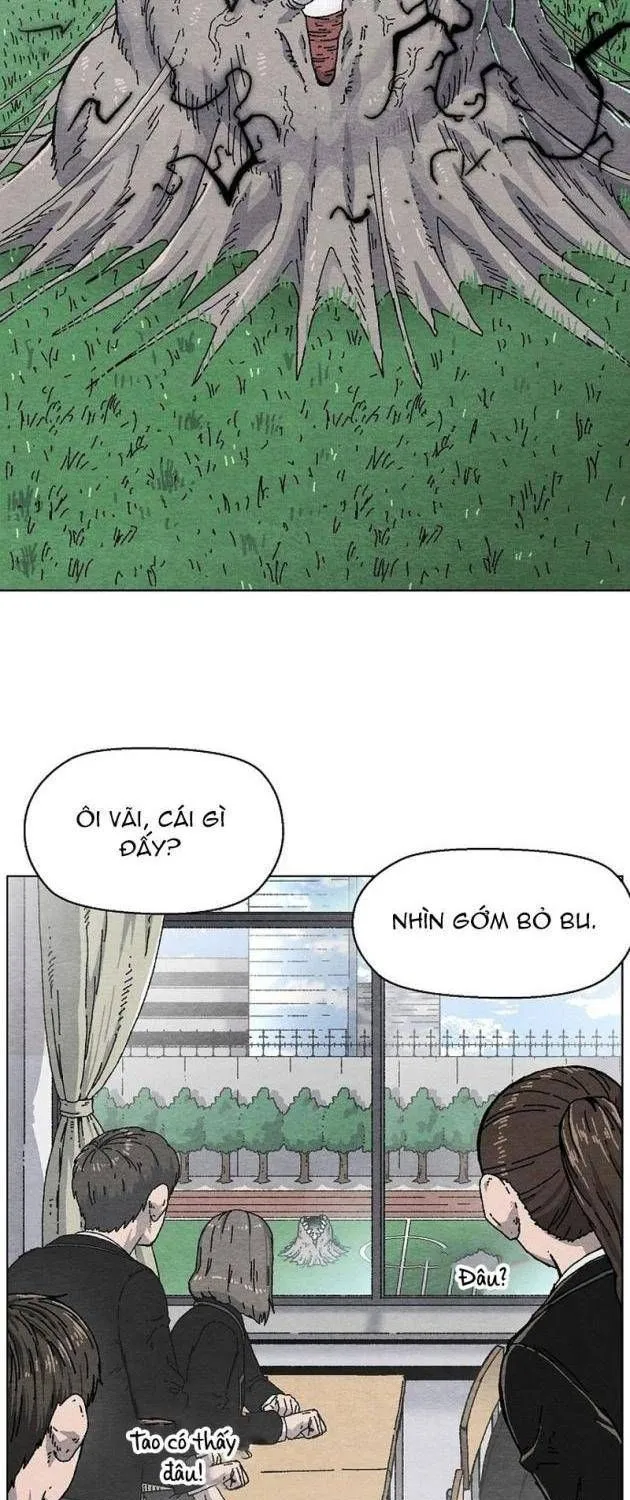 Tiếng Gầm Gừ Chương 1 Ảnh 44