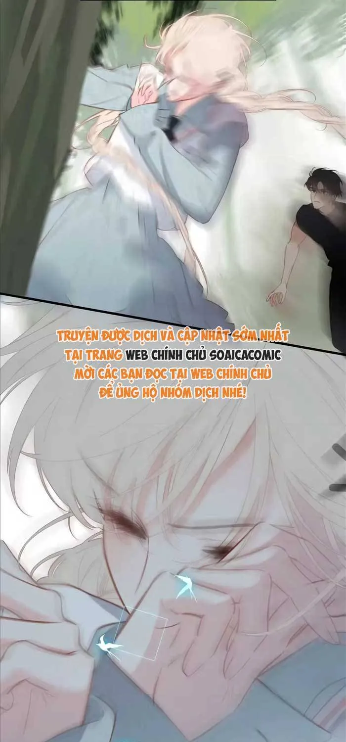 Tố Hồi Xuân Thời Chương 67 Ảnh 44