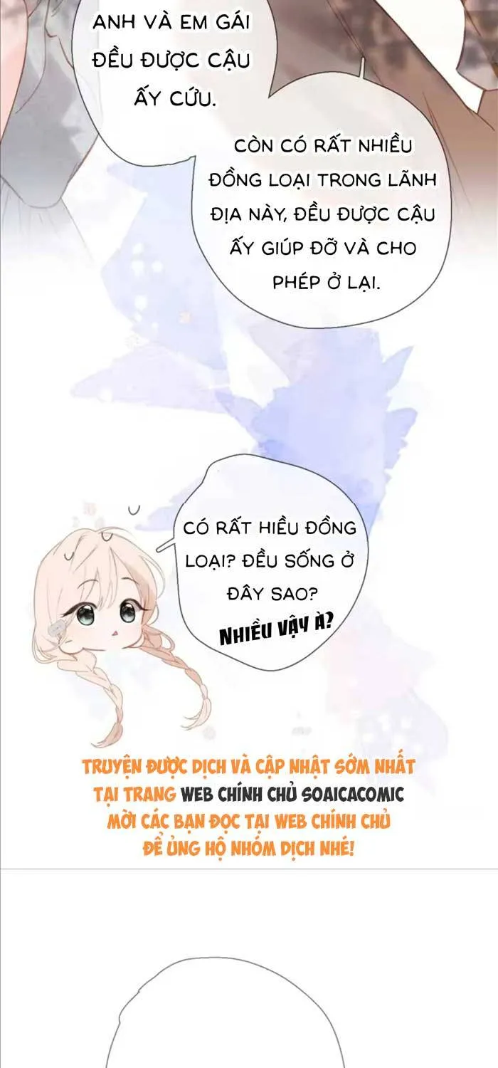 Tố Hồi Xuân Thời Chương 72 Ảnh 33