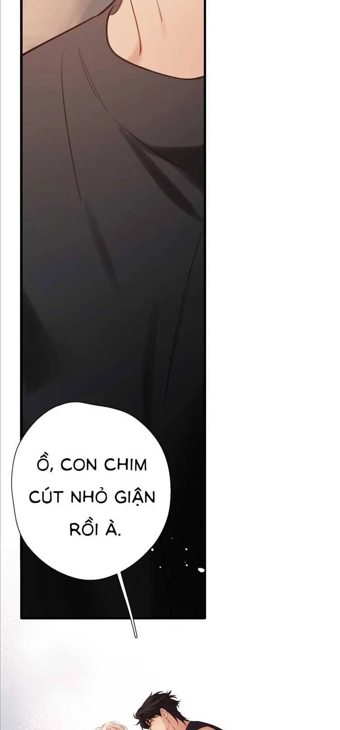 Tố Hồi Xuân Thời Chương 72 Ảnh 10