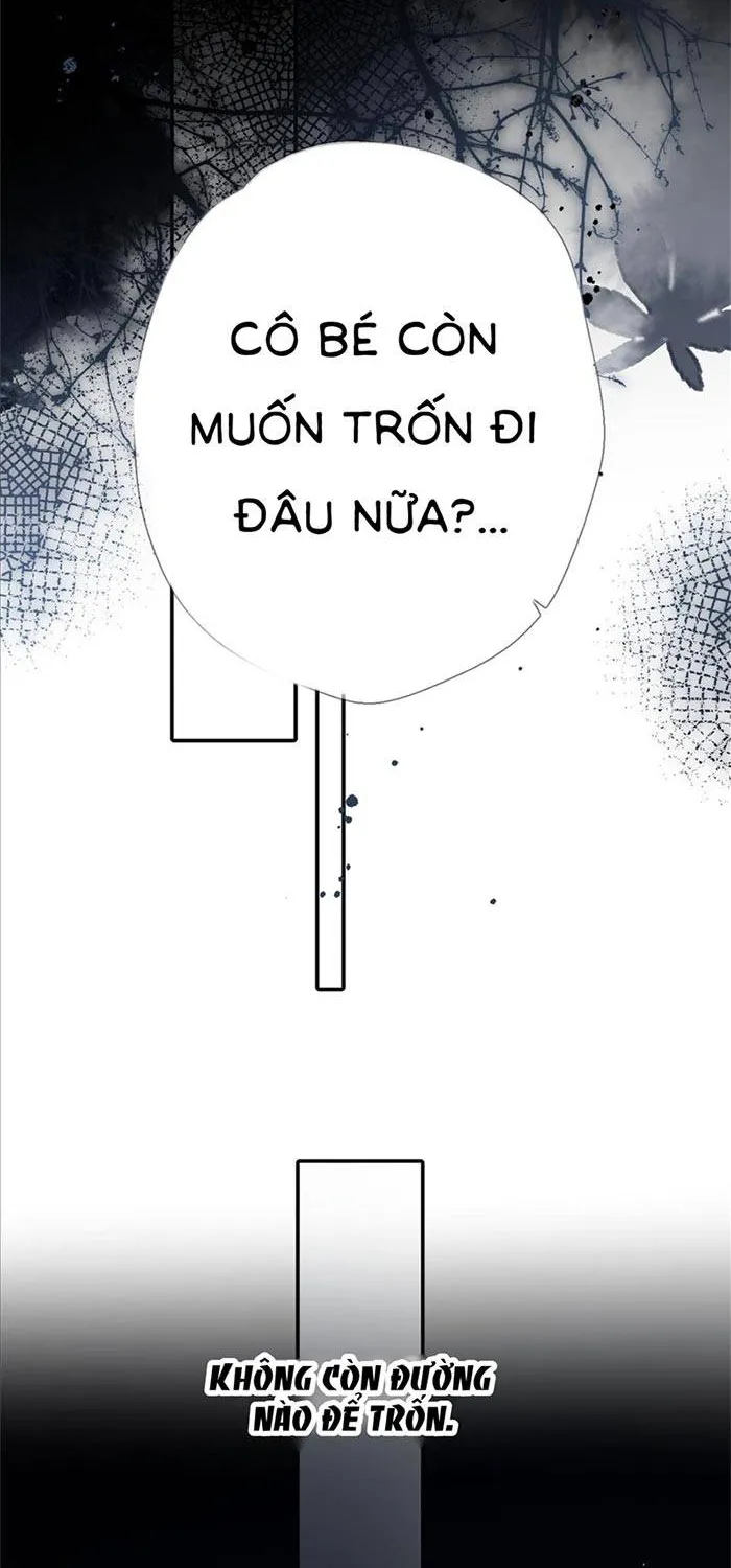 Tố Hồi Xuân Thời Chương 74 Ảnh 12
