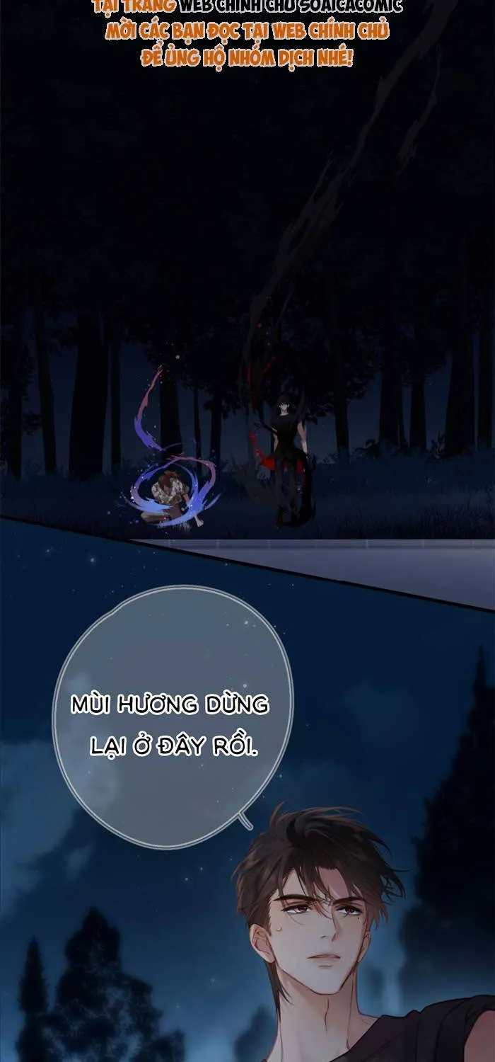 Tố Hồi Xuân Thời Chương 75 Ảnh 4