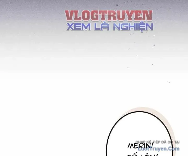 Tổ Sư Hồi Quy: Tái Sinh Thành Hậu Duệ Sau Nghìn Năm Chương 29 Ảnh 153