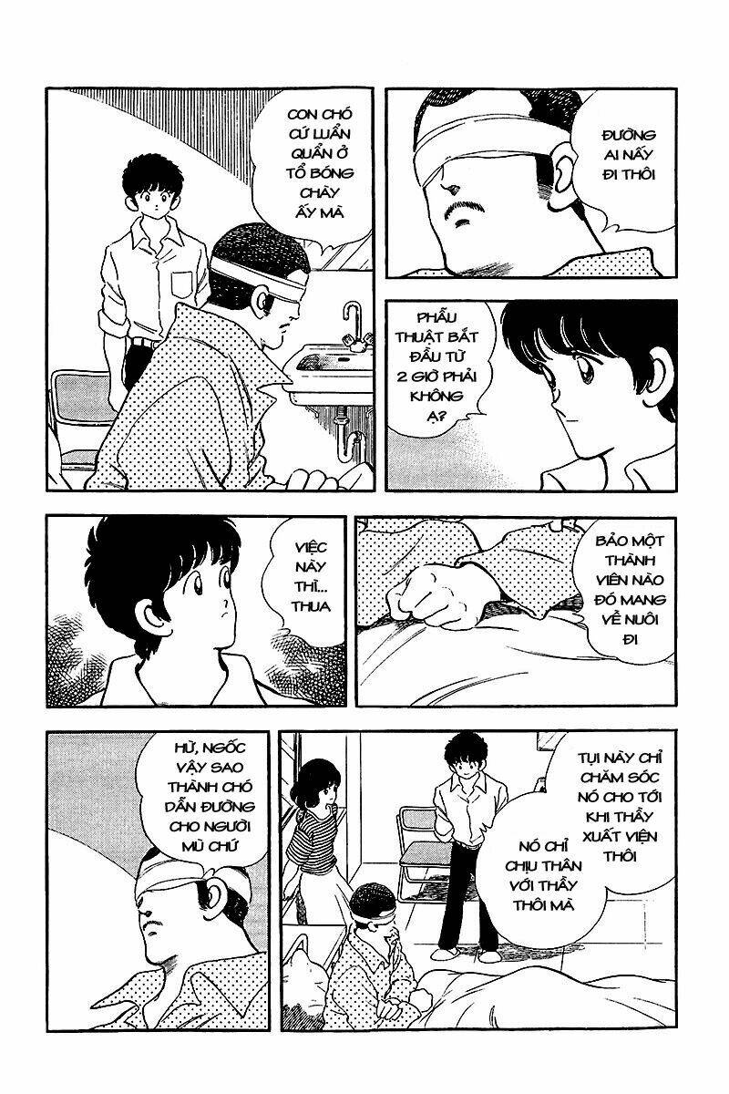 Touch Chương 242 Ảnh 10