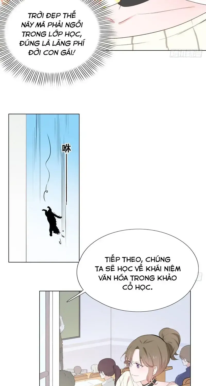 Trên Đời Không Có Mèo Tốt Chương 1 Ảnh 21