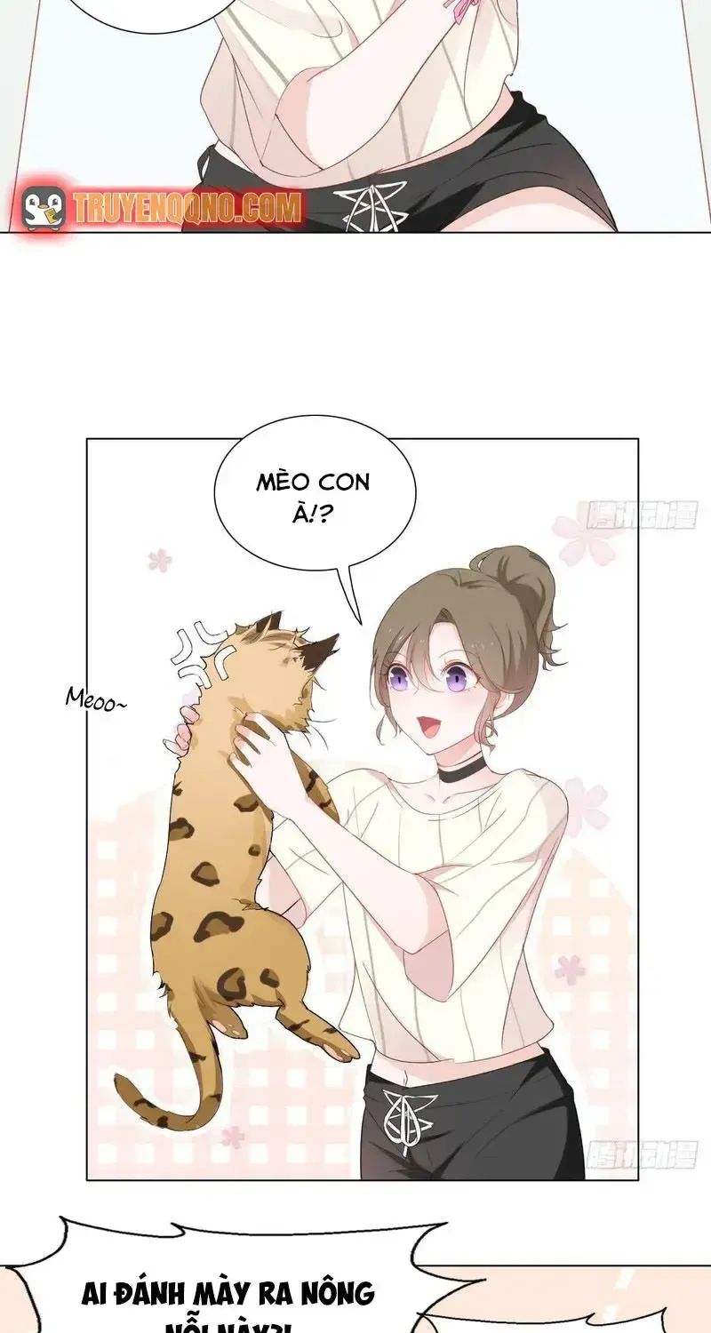 Trên Đời Không Có Mèo Tốt Chương 1 Ảnh 38