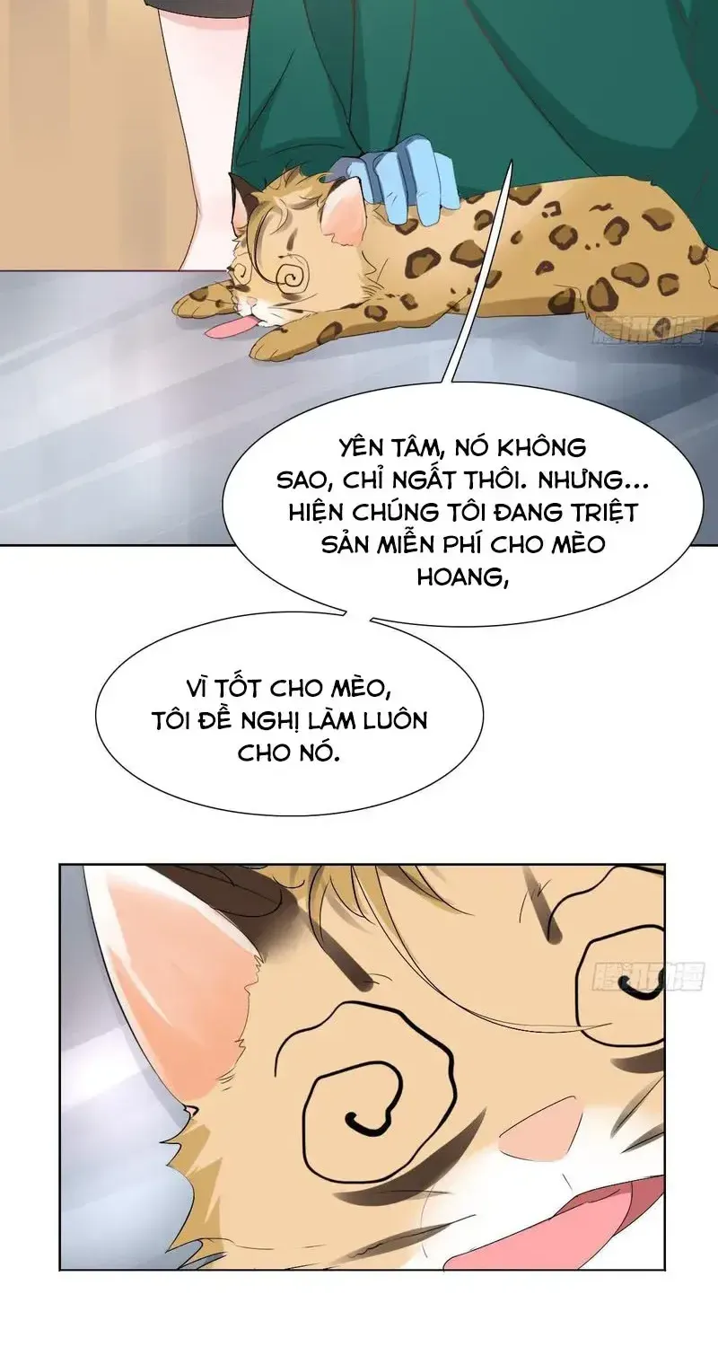 Trên Đời Không Có Mèo Tốt Chương 1 Ảnh 45